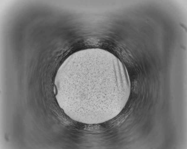 X0000094421201200711291541
