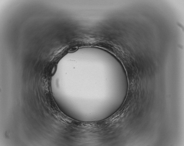 X0000094421205200711291541