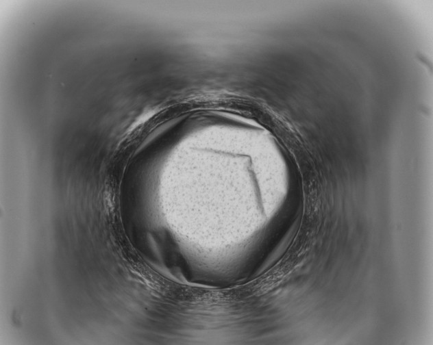 X0000094421206200711291541