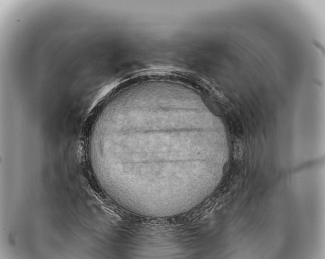 X0000094421208200711291541