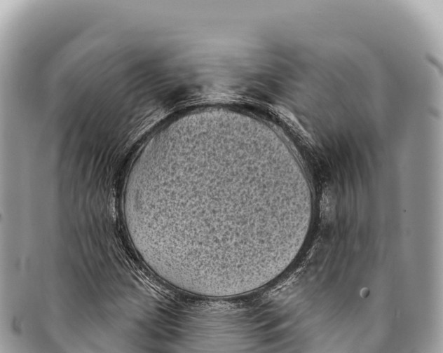 X0000094421209200711291541