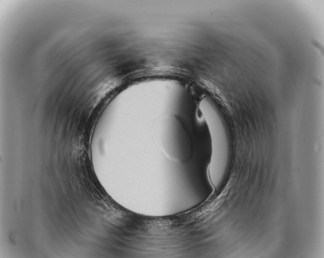 X0000094421210200711291541