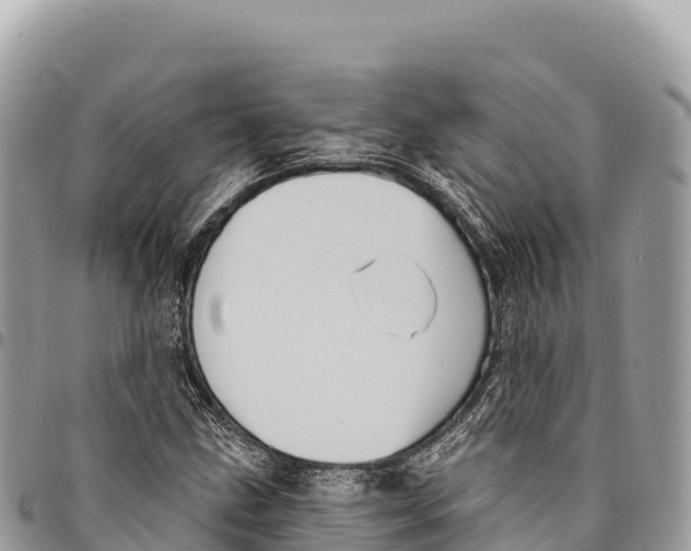 X0000094421211200711291541