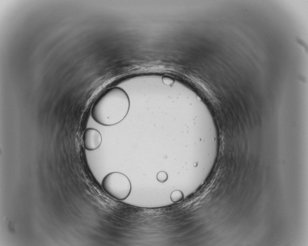 X0000094421212200711291542