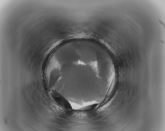 X0000094421213200711291542