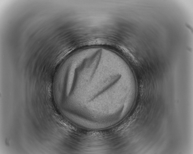 X0000094421217200711291542