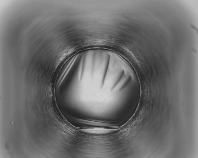 X0000094421218200711291542