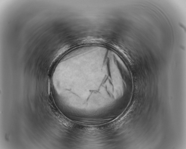 X0000094421219200711291542