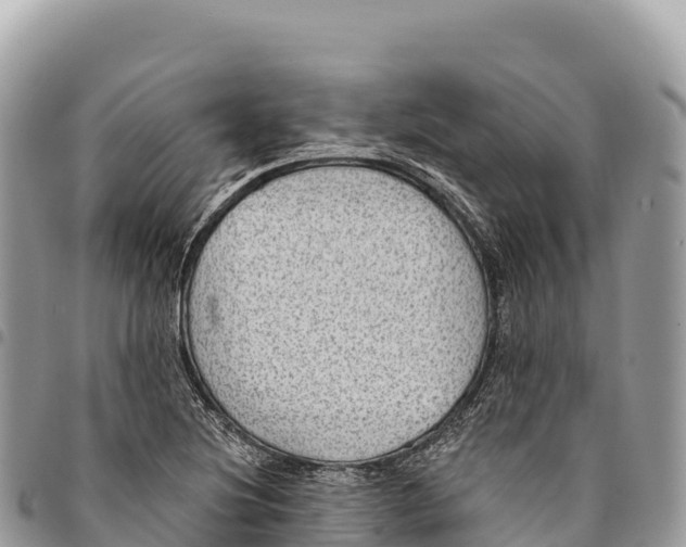 X0000094421220200711291542