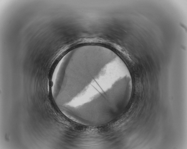 X0000094421221200711291542