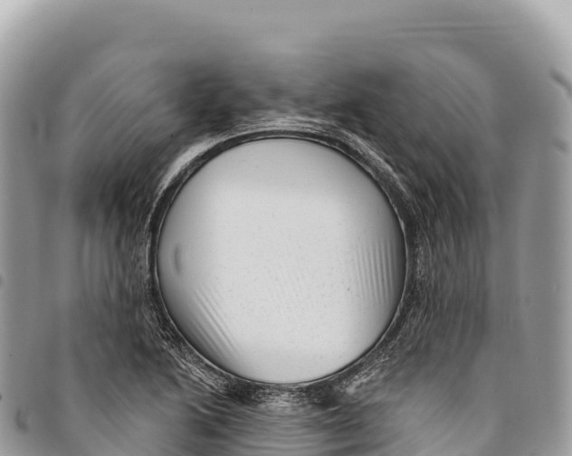 X0000094421222200711291542