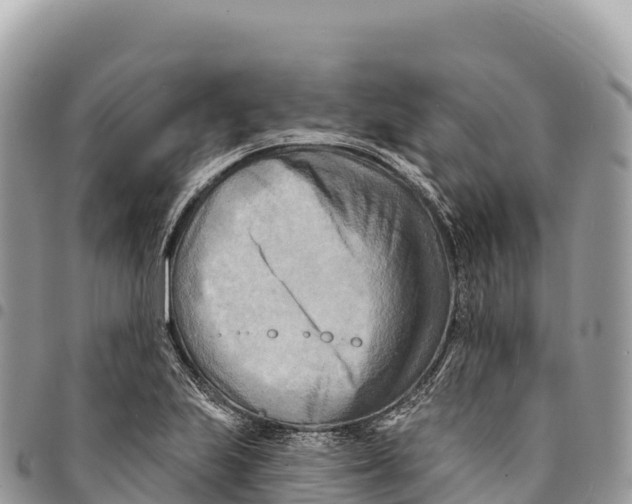 X0000094421223200711291542