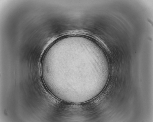 X0000094421224200711291542