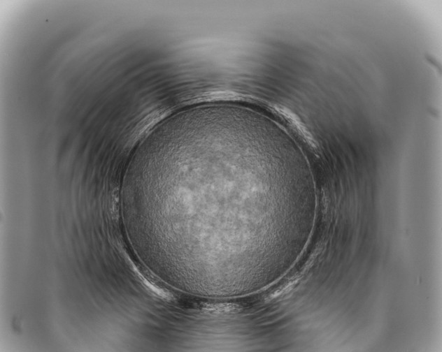 X0000094421225200711291542