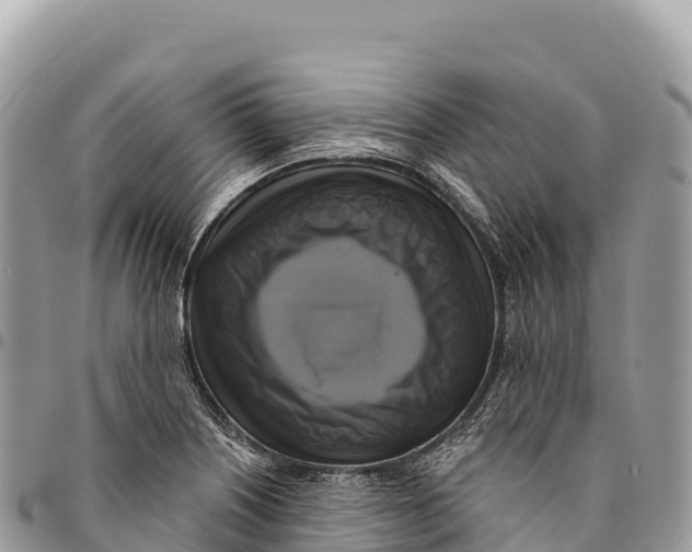 X0000094421226200711291542