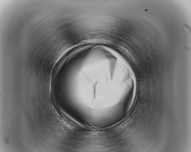 X0000094421228200711291542