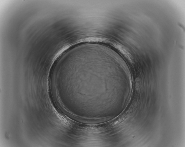 X0000094421229200711291542