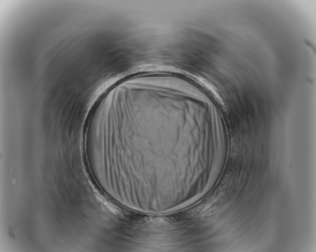 X0000094421231200711291542