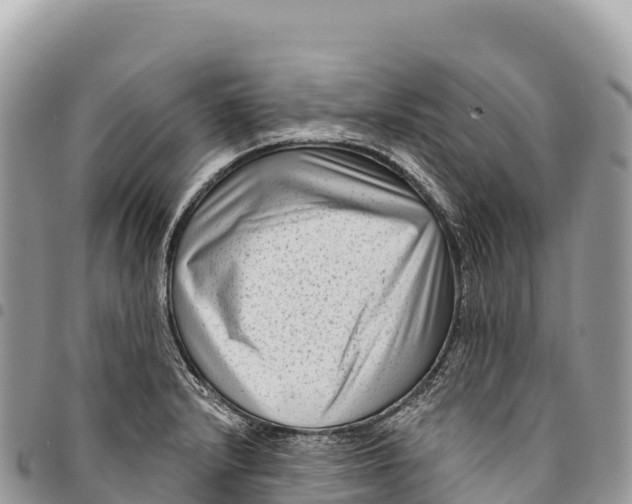 X0000094421232200711291542