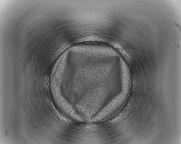 X0000094421233200711291542