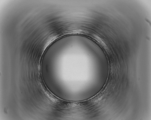 X0000094421234200711291542