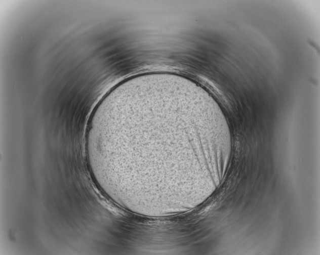 X0000094421236200711291542