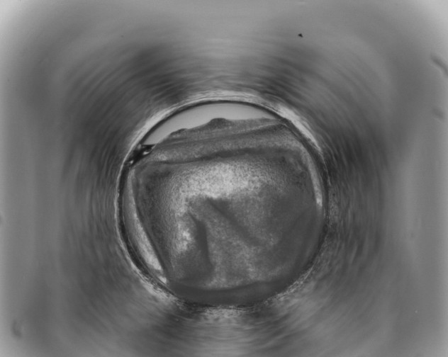 X0000094421237200711291542
