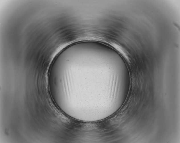 X0000094421238200711291542