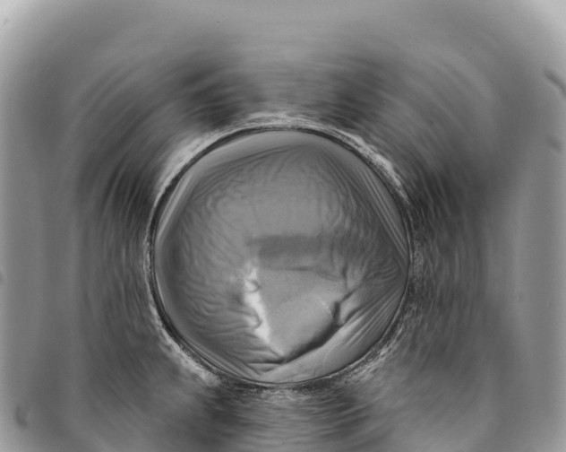 X0000094421239200711291542