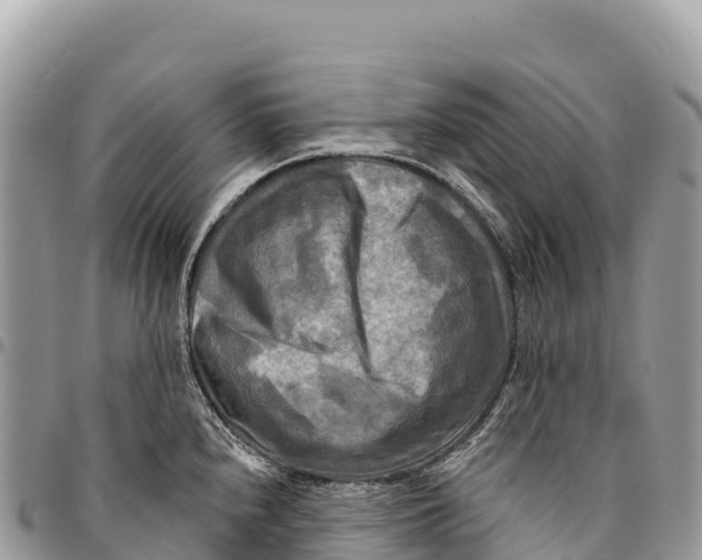 X0000094421240200711291542