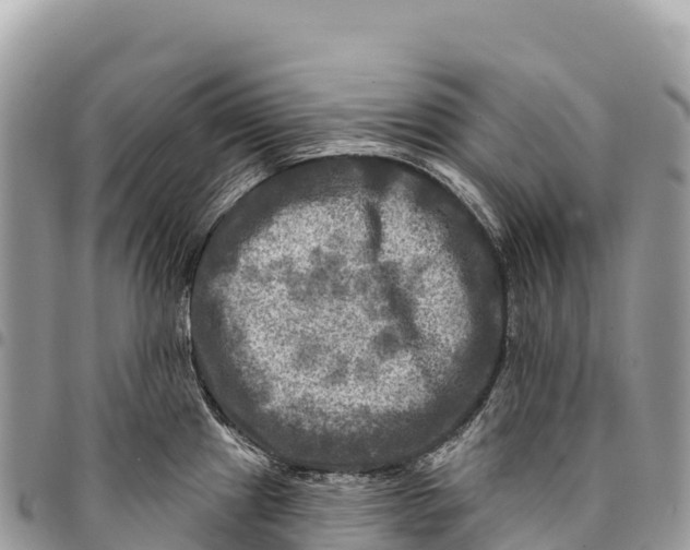 X0000094421241200711291542