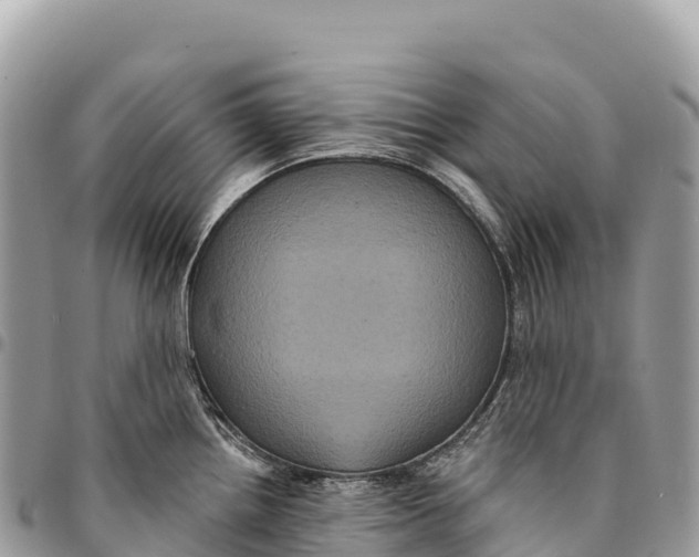 X0000094421242200711291542