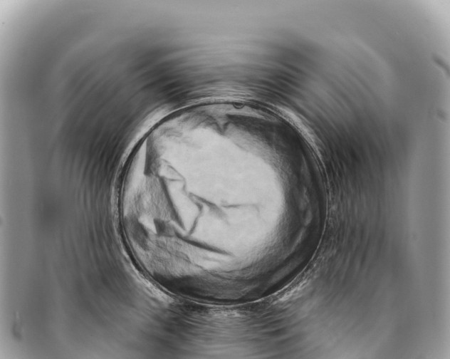 X0000094421243200711291542