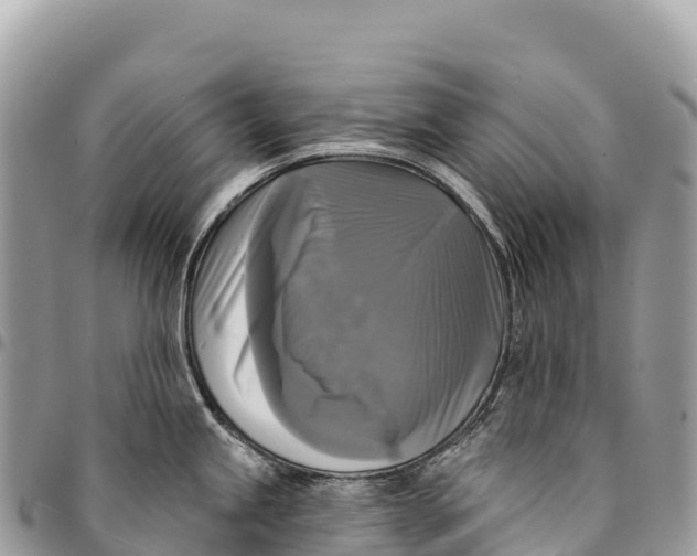 X0000094421245200711291542