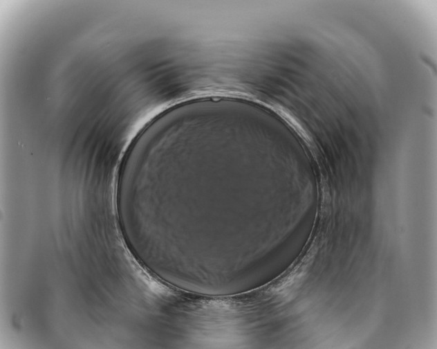 X0000094421246200711291542