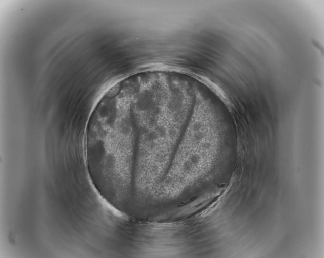 X0000094421247200711291542