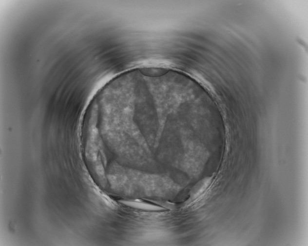 X0000094421248200711291542