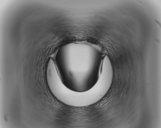 X0000094421249200711291541