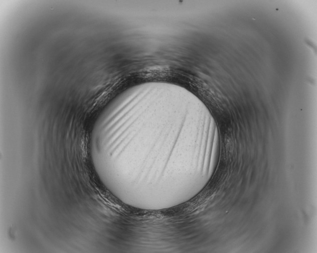 X0000094421250200711291541