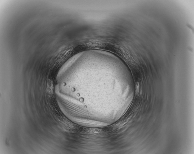X0000094421251200711291541