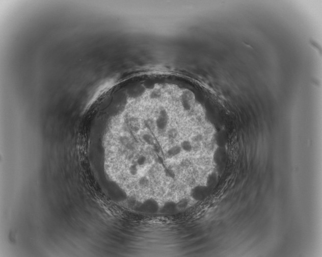 X0000094421255200711291541
