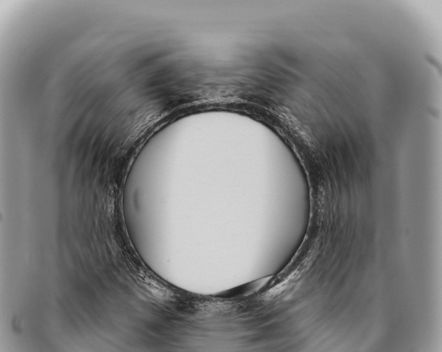 X0000094421257200711291541