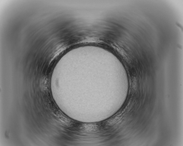 X0000094421258200711291541