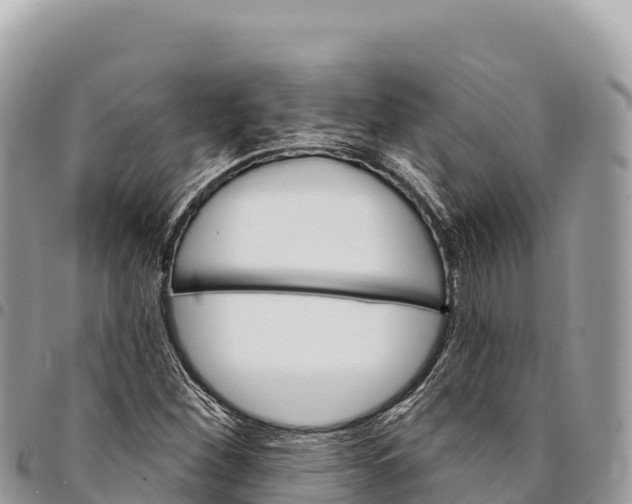 X0000094421260200711291541