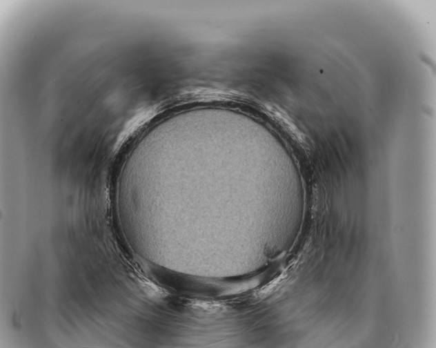 X0000094421261200711291541