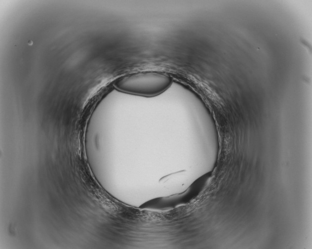 X0000094421262200711291541