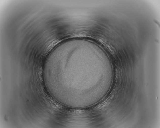 X0000094421265200711291541
