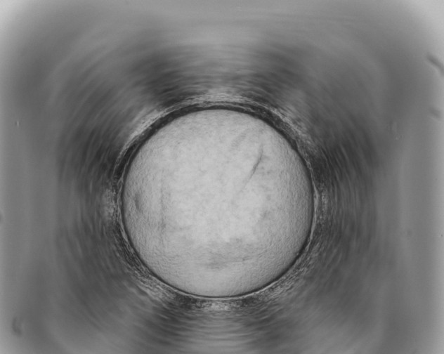 X0000094421266200711291541