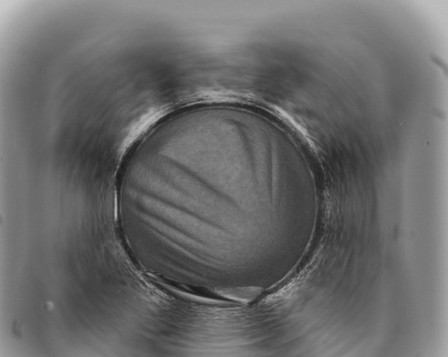 X0000094421269200711291541