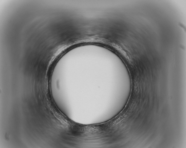 X0000094421270200711291541